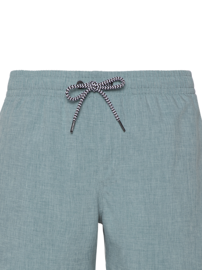 Davey Short swim shorts