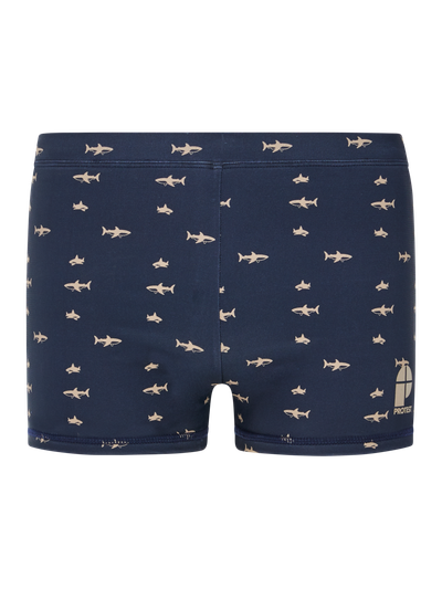PRTIvaro JR Zwemboxer