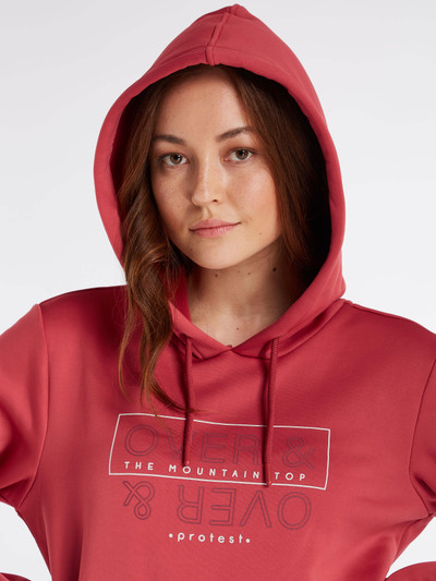 PRTTWIG Hoodie