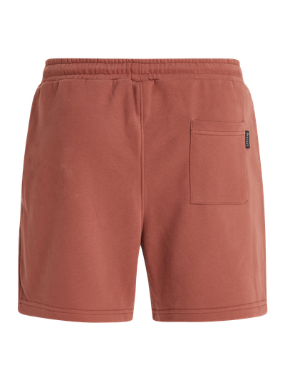 PRTMORNE Shorts