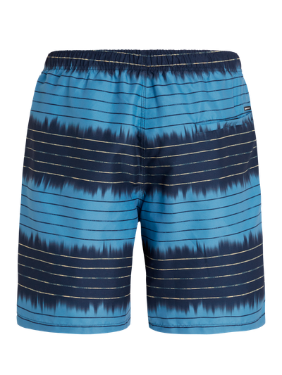 PRTAUCKLEY Striped swim shorts