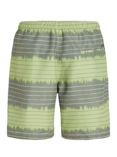 PRTAUCKLEY Striped swim shorts