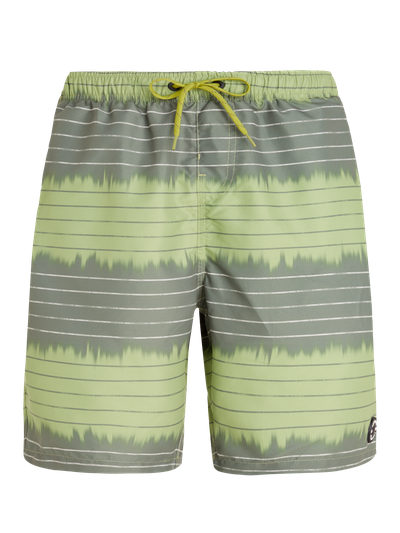 PRTAUCKLEY Striped swim shorts
