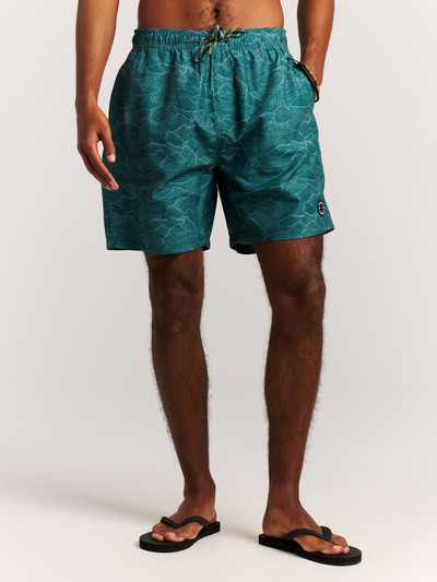 PRTAcorn Swim shorts