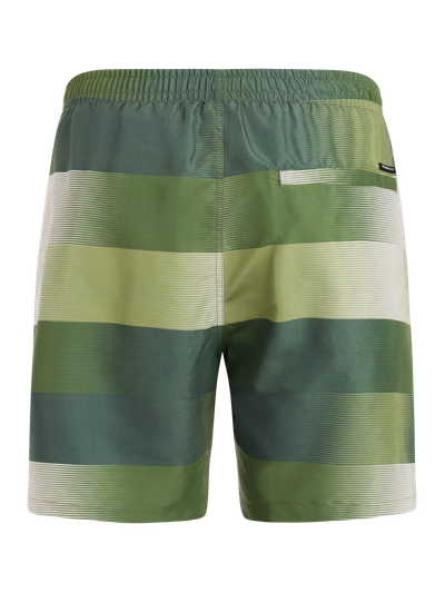 PRTLomond Striped swim shorts