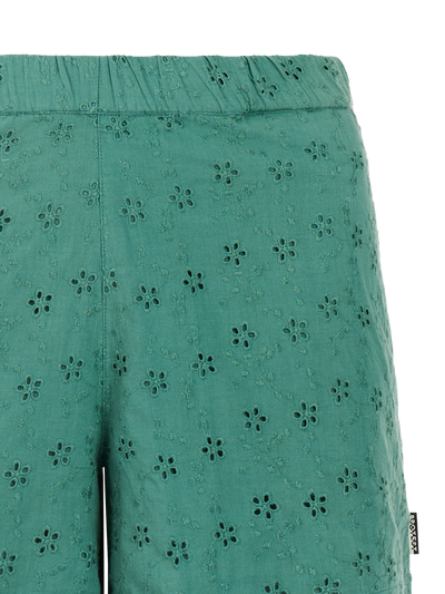 PRTRoar Shorts
