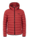 PRTBASSO