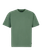 PRTMATTEO