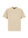 PRTMATTEO