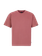 PRTMATTEO