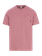 PRTCruz