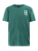 PRTMinto