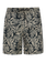PRTPedro