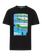 PRTNiagra
