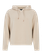 PRTIron