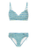 PRTTaro