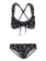 ESTEBAN