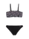 PRTLARA JR