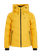 NXGSALVIA