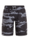 PRTARTIST JR