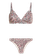 PRTEIBLI