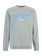 PRTIzzy