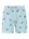 PRTHector JR