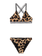 PRTSuzana JR