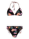 PRTIsa