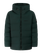 PRTWooky JR