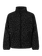 PRTJohanna JR