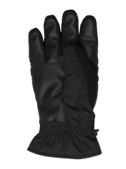 CAREW Ski gloves