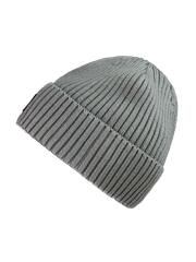 PRTWorsley Beanie