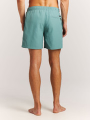Faster Short swim shorts