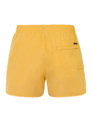 Faster Short swim shorts