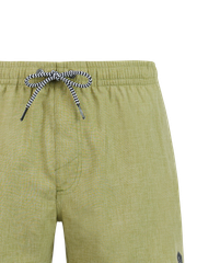 Davey Short swim shorts