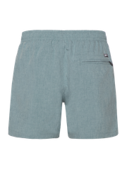 Davey Short swim shorts