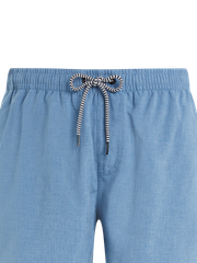 Davey Short swim shorts