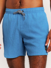 Davey Short swim shorts