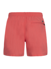 Davey Short swim shorts