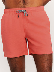 Davey Short swim shorts