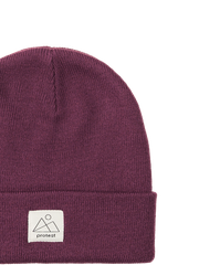 PRTPri Beanie