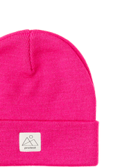 PRTPri Beanie
