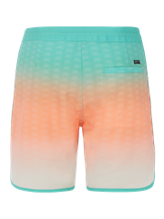 PRTChad Board shorts
