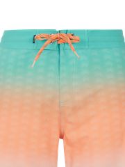 PRTChad Board shorts