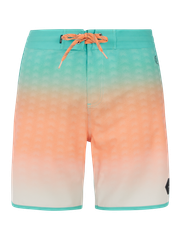 PRTChad Board shorts