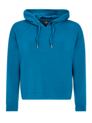 PRTIron Hoodie