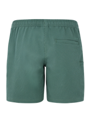 PRTAgaat 25 Swim shorts
