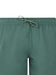 PRTAgaat 25 Swim shorts