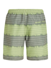 PRTAUCKLEY Striped swim shorts